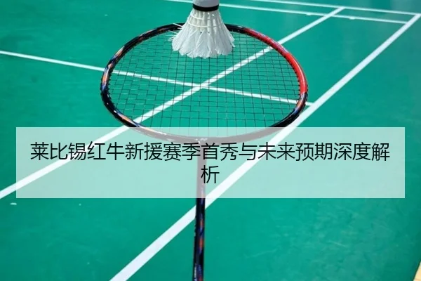 莱比锡红牛新援赛季首秀与未来预期深度解析 - hthsports